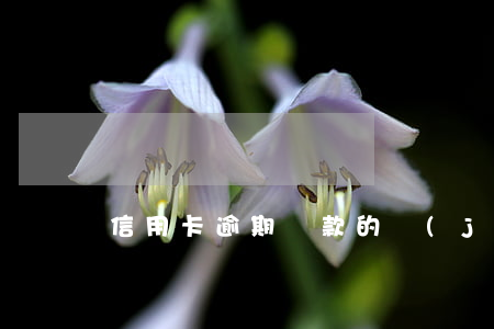 信用卡逾期還款的經(jīng)驗