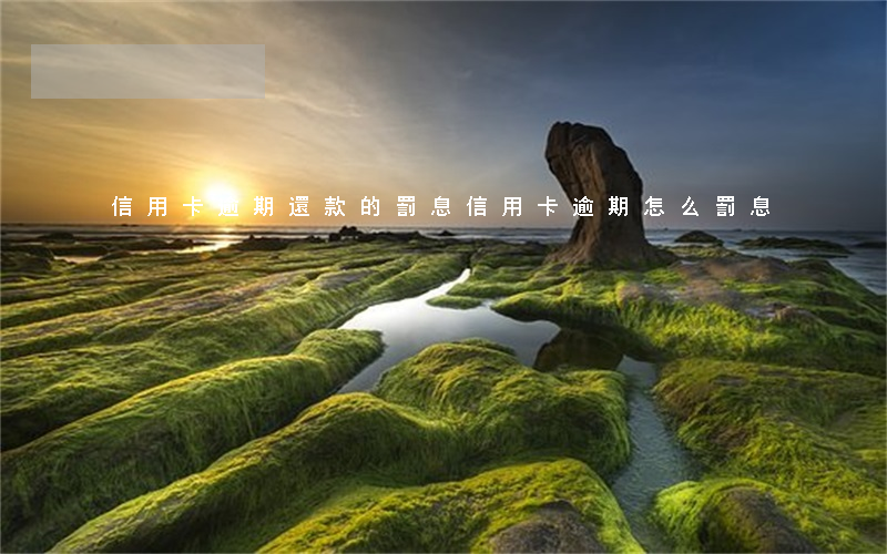 信用卡逾期還款的罰息(信用卡逾期怎么罰息)
