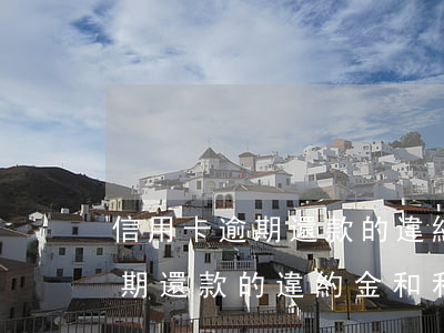 信用卡逾期還款的違約金和利息-信用卡逾期還款的違約金和利息怎么算