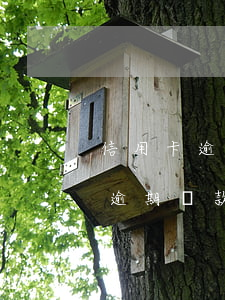 信用卡逾期還款直接去銀行商談嗎-信用卡逾期還款直接去銀行商談嗎可以嗎