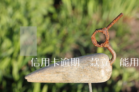 信用卡逾期還款立馬能用么