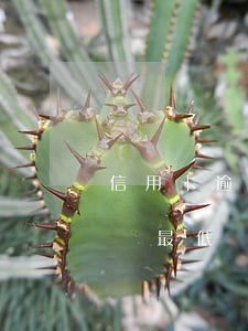 信用卡逾期還款算上個月的嗎 每個月信用卡還最低還款額算是逾期嗎