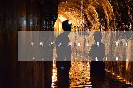 信用卡逾期還款算不算滯納金(逾期多久會產(chǎn)生滯納金)