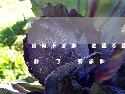 信用卡逾期還款算不算透支(把信用卡最低還款還了還算逾期嗎)