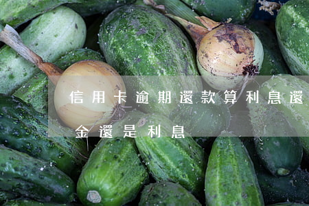信用卡逾期還款算利息還是本金(逾期先還本金還是利息)