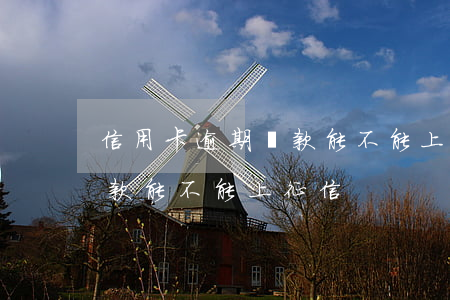 信用卡逾期還款能不能上征信(信用卡逾期還款能不能上征信)