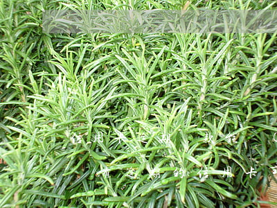 信用卡逾期還款能協(xié)商免息嗎-沒有逾期的信用卡可以協(xié)商還款嗎