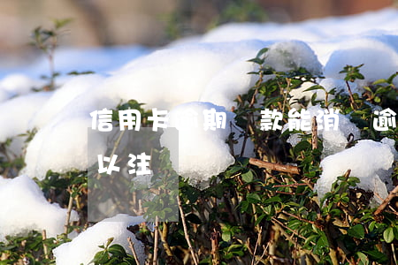 信用卡逾期還款能消嗎(逾期的信用卡還完可以注銷嗎)