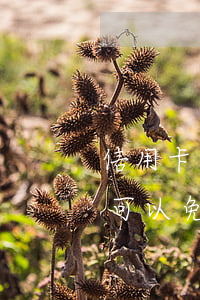 信用卡逾期還款能減免利息嗎(逾期還信用卡可以免利息嗎)