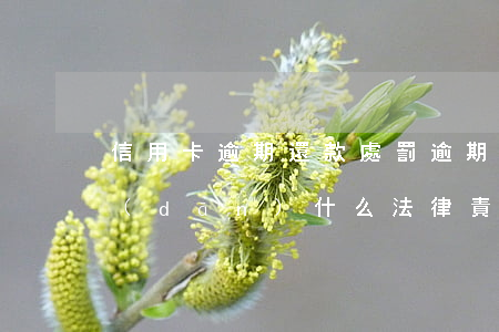 信用卡逾期還款處罰(逾期還信用卡需要承擔(dān)什么法律責(zé)任)