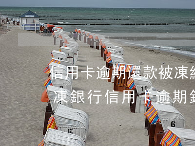 信用卡逾期還款被凍結(jié)還能否解凍(銀行信用卡逾期錢還了以后凍結(jié)了怎么辦)