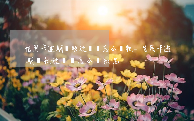 信用卡逾期還款被凍結怎么還款-信用卡逾期還款被凍結怎么還款呢