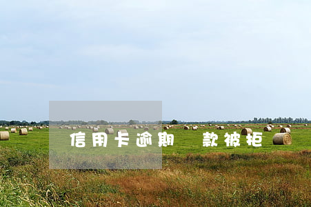 信用卡逾期還款被拒(從沒逾期過信用卡被拒)