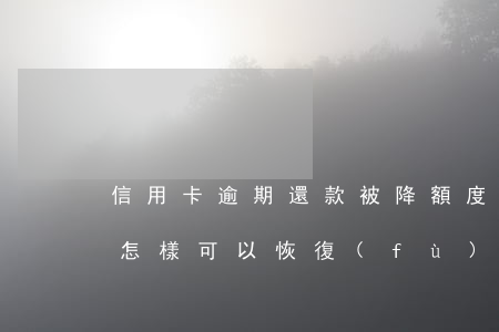 信用卡逾期還款被降額度怎么辦(逾期還清后怎樣可以恢復(fù)信用額度)