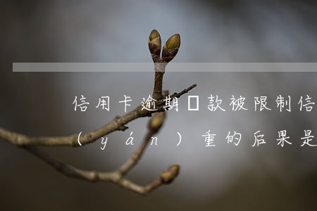 信用卡逾期還款被限制(信用卡逾期不還最嚴(yán)重的后果是什么)
