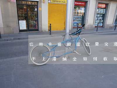 信用卡逾期還款要交滯納金(銀行的信用卡還不上滯納金如何收取)