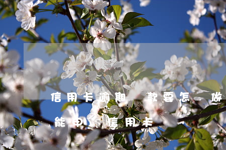 信用卡逾期還款要怎樣做(信用卡逾期還了還能申請信用卡嗎)