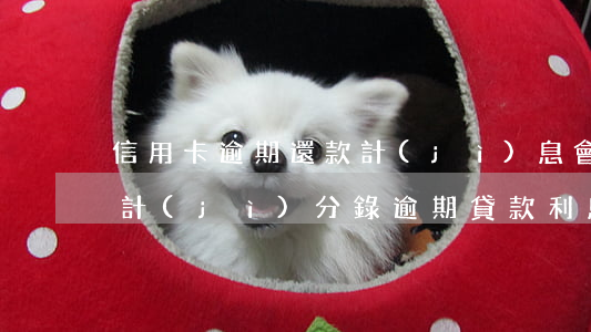 信用卡逾期還款計(jì)息會(huì)計(jì)分錄 逾期貸款利息會(huì)計(jì)分錄