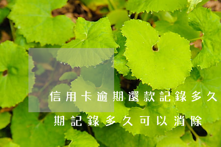 信用卡逾期還款記錄多久能消除(有信用卡逾期記錄多久可以消除)