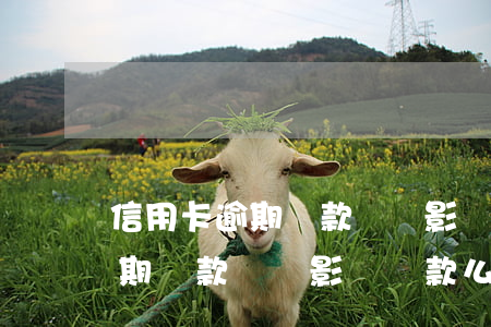 信用卡逾期還款記錄影響貸款么-信用卡逾期還款記錄影響貸款么嗎