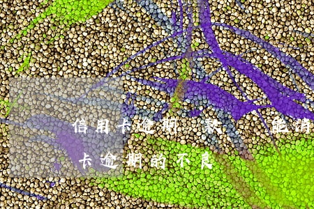 信用卡逾期還款記錄能消除嗎-能消除信用卡逾期的不良記錄嗎