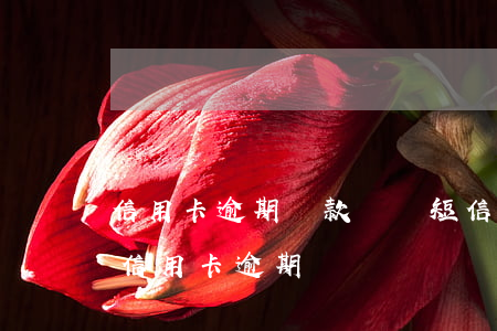 信用卡逾期還款詐騙短信(發(fā)短信說信用卡逾期詐騙)
