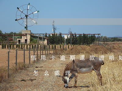 信用卡逾期還款證明如何獲取 還逾期信用卡怎么處理