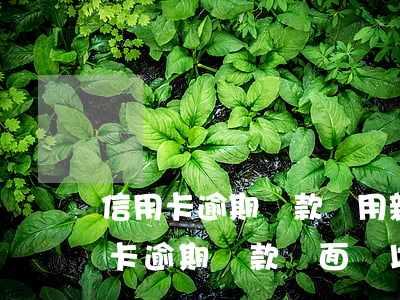 信用卡逾期還款費用新規(guī)定(信用卡逾期還款將面臨以下后果)