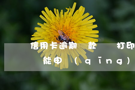 信用卡逾期還款賬單打印-有逾期還款記錄還能申請(qǐng)信用卡嗎