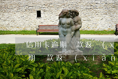 信用卡逾期還款返現(xiàn)（信用卡逾期還款返現(xiàn)）