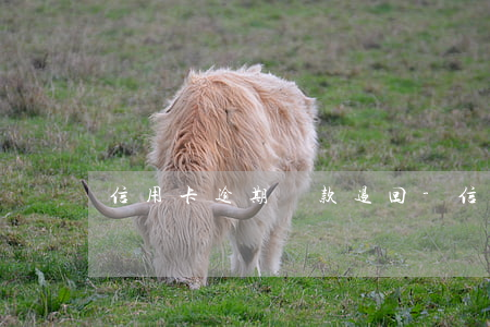 信用卡逾期還款退回-信用卡逾期還款退回嗎