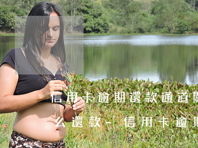 信用卡逾期還款通道關(guān)閉后怎么還款-信用卡逾期還款通道關(guān)閉后怎么還款呢