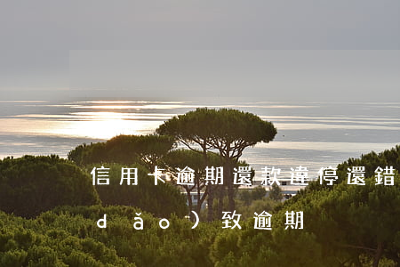 信用卡逾期還款違停(還錯(cuò)卡導(dǎo)致逾期)