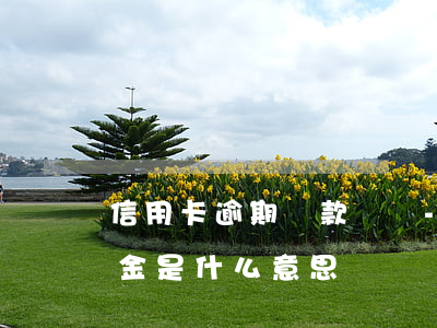 信用卡逾期還款違約-信用卡逾期還款違約金是什么意思