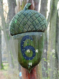 信用卡逾期還款違約金判例(逾期利息違約金同時主張)