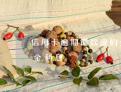 信用卡逾期還款違約金可以退嗎(信用卡 違約金 利息)