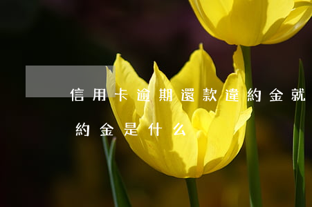信用卡逾期還款違約金就逾期-逾期還款違約金是什么