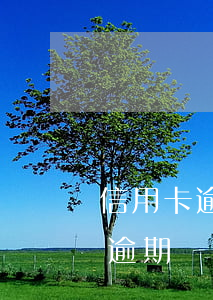 信用卡逾期還款違約金怎么算法律-信用卡逾期還款違約金怎么算法律依據(jù)