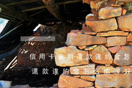 信用卡逾期還款違約金怎么處理(信用卡逾期還款違約金怎么處理好)