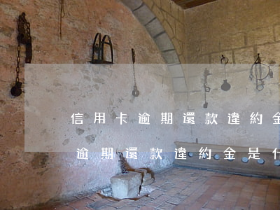 信用卡逾期還款違約金是什么意思-信用卡逾期還款違約金是什么意思呢