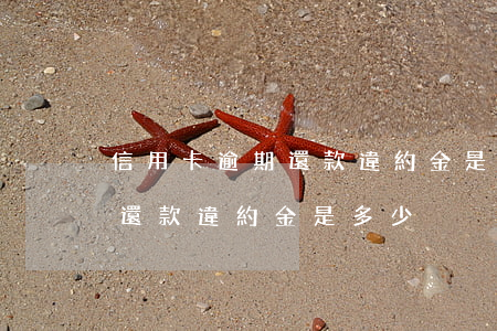 信用卡逾期還款違約金是多少?。ㄐ庞每ㄓ馄谶€款違約金是多少）