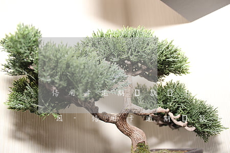 信用卡逾期還款還不進(jìn)去什么原因-信用卡逾期還款還不進(jìn)去什么原因呢