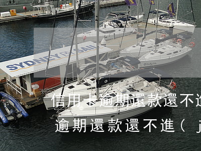 信用卡逾期還款還不進(jìn)去(信用卡逾期還款還不進(jìn)去怎么回事)