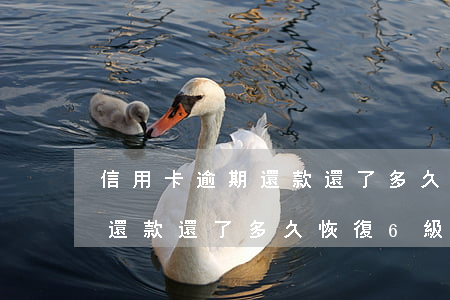 信用卡逾期還款還了多久恢復6(信用卡逾期還款還了多久恢復6級)