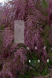 信用卡逾期還款還了最低額度(還了最低還款額度算逾期嗎)