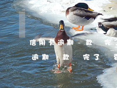信用卡逾期還款還完了還要開庭嗎-信用卡逾期還款還完了還要開庭嗎知乎