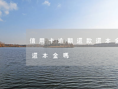 信用卡逾期還款還本金(欠信用卡逾期可以只還本金嗎)