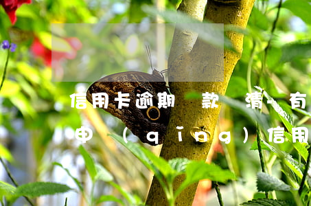 信用卡逾期還款還清-有逾期還款記錄還能申請(qǐng)信用卡嗎