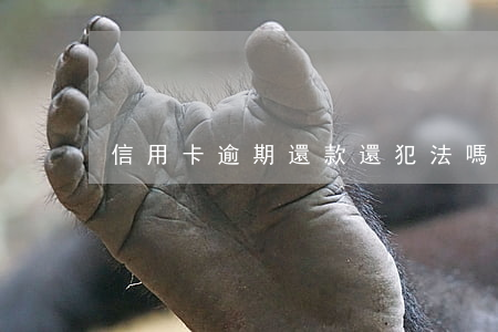 信用卡逾期還款還犯法嗎-還信用卡違法嗎