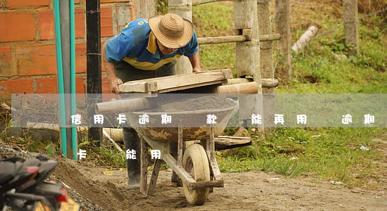 信用卡逾期還款還能再用嗎(逾期還清后信用卡還能用嗎)
